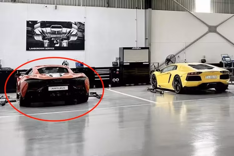 Hiện chỉ mới có 1 chiếc xe McLaren Artura bản coupe, xe sở hữu màu sơn cam rất nóng bỏng, và thuộc sở hữu của 1 nhà sưu tập xe ở Thành phố Hồ Chí Minh, là đã ra biển số, xe được nhập khẩu chính hãng về nước, nhưng rất hiếm khi xuất hiện trên đường.