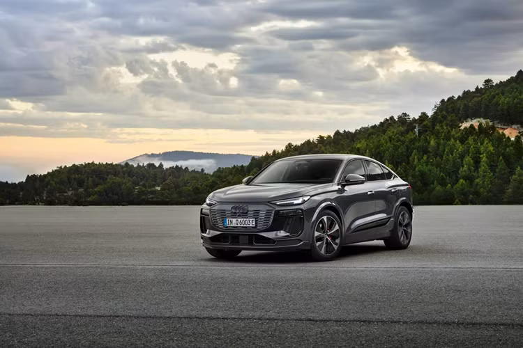 Ngoài ra, Audi đã bổ sung nhiều tùy chọn điều khiển bằng giọng nói. Người lái có thể điều khiển nhiều chức năng của xe thông qua trợ lý ảo kích hoạt bằng giọng nói, có khả năng tự học của Audi. Trợ lý ảo kỹ thuật số được hỗ trợ bởi công nghệ AI này được liên kết chặt chẽ với các hệ thống của xe.