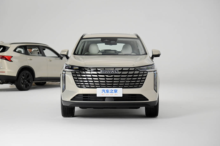 Haval H6 tại Việt Nam hiện cũng đang được phân phối với 1 phiên bản và giá niêm yết 986 triệu đồng. So với xe tại Trung Quốc, Haval H6 tại Việt Nam không chỉ có thiết kế khác biệt mà còn được trang bị động cơ hybrid tiết kiệm xăng hơn.