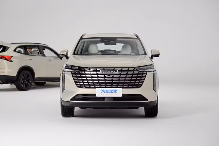 Haval H6 tại Việt Nam hiện cũng đang được phân phối với 1 phiên bản và giá niêm yết 986 triệu đồng. So với xe tại Trung Quốc, Haval H6 tại Việt Nam không chỉ có thiết kế khác biệt mà còn được trang bị động cơ hybrid tiết kiệm xăng hơn.