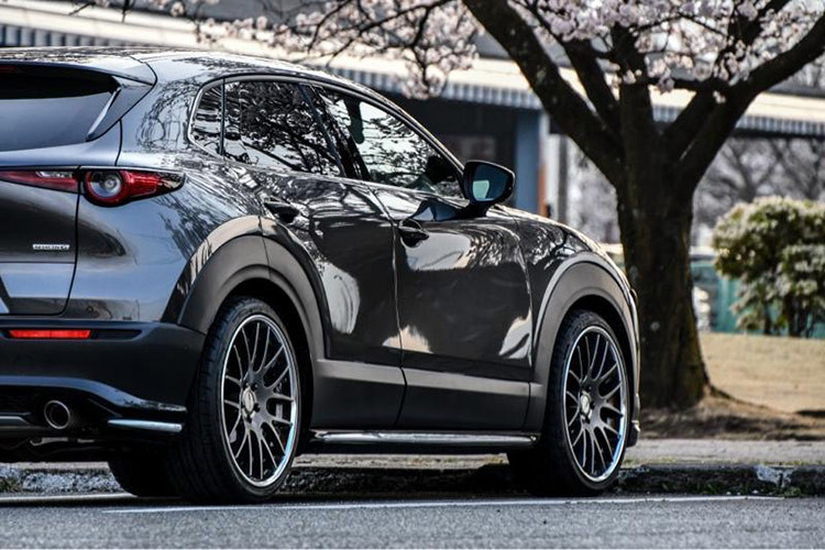 Trong quá khứ, xe chống đạn thường chỉ xuất hiện ở phân khúc hạng sang với BMW hay Mercedes-Benz có cả phiên bản chuyên dụng lâu đời. Tuy vậy, trong thời gian qua, các hãng xe phổ thông cũng đã bắt đầu cung cấp loại hình dịch vụ này.