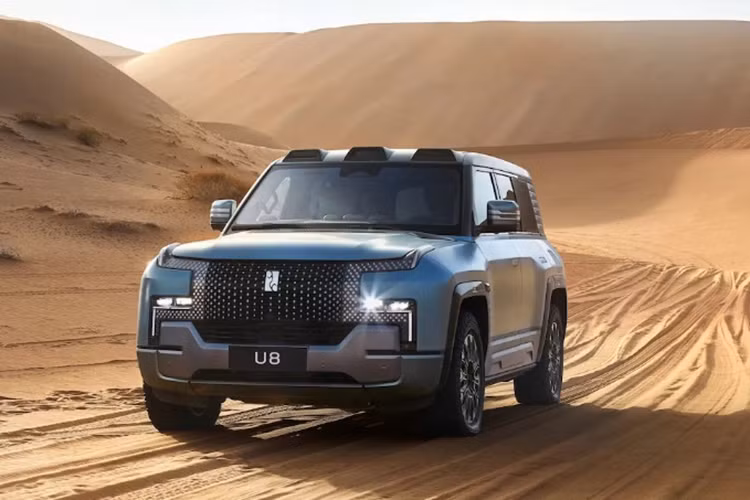 YangWang U8 cua Trung Quoc gia 3,58 ty dong lan dau... tam song-Hinh-4