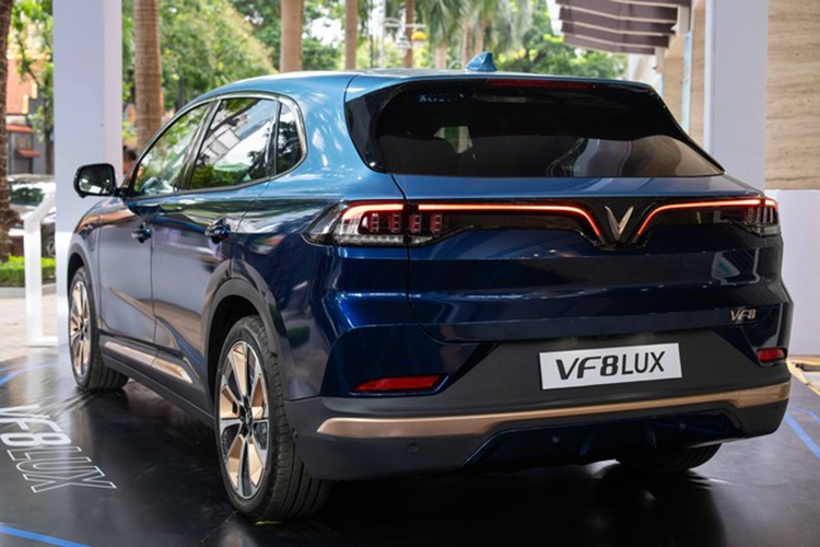 Nếu trong quá trình sử dụng, khách hàng chuyển đổi VF8 LUX thành xe dịch vụ, tất cả ưu đãi sẽ tự động hết hiệu lực. Mức giá xe VinFast VF8 LUX 2024 bản thường có giá 1,17 tỷ đồng nếu thuê pin và 1,38 tỷ đồng nếu kèm pin. Hai con số tương ứng của bản Plus là 1,359 tỷ và 1,569 tỷ đồng.
