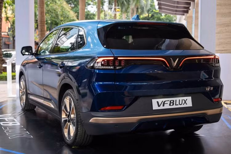 Nếu trong quá trình sử dụng, khách hàng chuyển đổi VF8 LUX thành xe dịch vụ, tất cả ưu đãi sẽ tự động hết hiệu lực. Mức giá xe VinFast VF8 LUX 2024 bản thường có giá 1,17 tỷ đồng nếu thuê pin và 1,38 tỷ đồng nếu kèm pin. Hai con số tương ứng của bản Plus là 1,359 tỷ và 1,569 tỷ đồng.