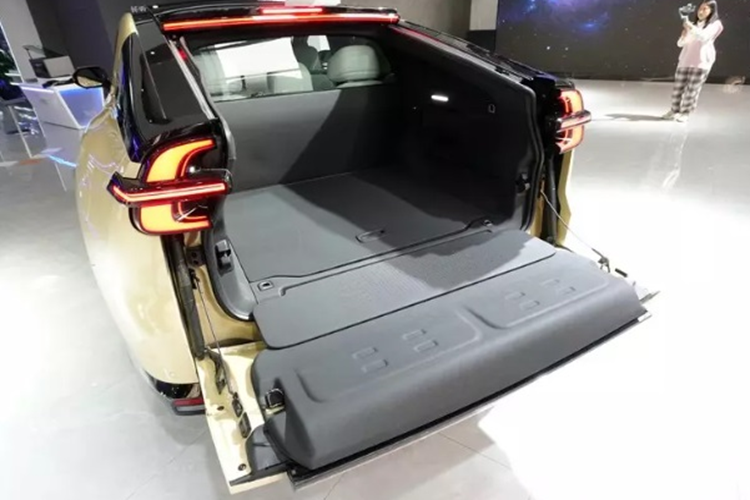 Qiyuan E07 sẽ bán ra với phiên bản động cơ đơn và động cơ kép, được trang bị bộ pin lithium-ion. Công suất tối đa của động cơ đơn là 337 mã lực và đạt tốc độ tối đa 201 km/h. Trong khi đó, công suất tối đa của động cơ kép phía trước và phía sau lần lượt là 188 mã lực và 252 mã lực.