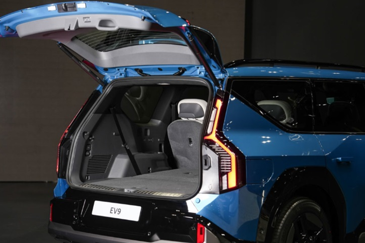 Cung cấp sức mạnh cho bản EV9 Earth Long Range là một mô tơ điện ở cầu sau cho công suất 201 mã lực, mô-men xoắn 350 Nm. Theo kết quả thử nghiệm, xe tăng tốc 0-100 km/h trong 9,4 giây.