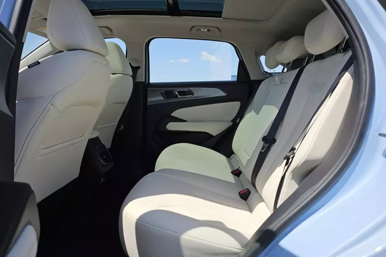 Mô-tơ điện kết hợp với pin LFP có dung lượng 60,5 kWh, cho phép xe chạy được 480 km sau khi sạc đầy theo chu trình thử nghiệm NEDC. Tốc độ tối đa của xe đạt 160 km/h.