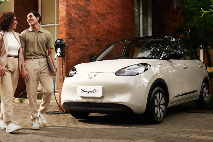 Sau một lần sạc đầy pin, phiên bản Long Range có thể chạy được 333 km trong khi con số tương ứng của bản Premium Range là 410 km. Cả hai loại pin này đều đạt tiêu chuẩn chống nước, chống bụi IP 67.