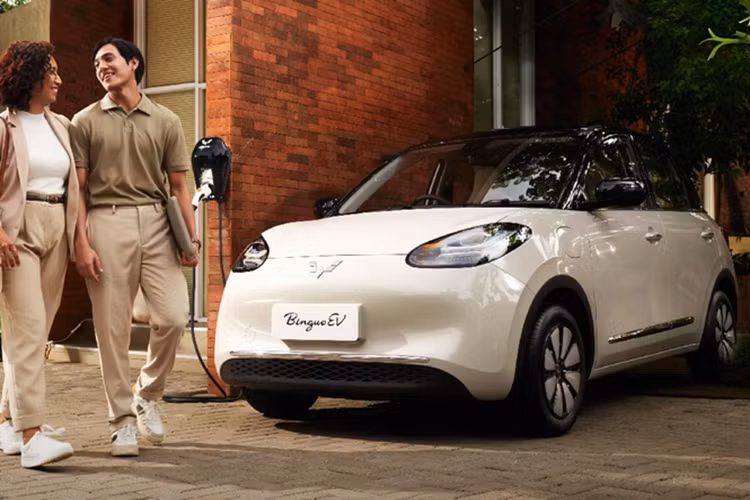 Sau một lần sạc đầy pin, phiên bản Long Range có thể chạy được 333 km trong khi con số tương ứng của bản Premium Range là 410 km. Cả hai loại pin này đều đạt tiêu chuẩn chống nước, chống bụi IP 67.