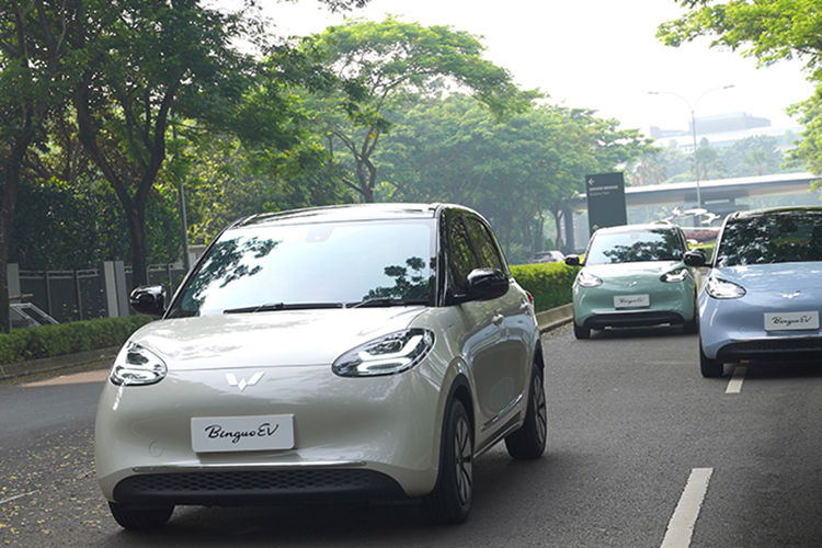 Trong khi đó, phiên bản Premium Range được trang bị pin LFP với dung lượng 37,9 kWh và hỗ trợ cả sạc chậm AC lẫn sạc nhanh DC. Với bộ sạc nhanh, thời gian tăng dung lượng pin từ 30% lên 80% sẽ là 35 phút. Vận tốc tối đa của Bingo là 130 km/h.