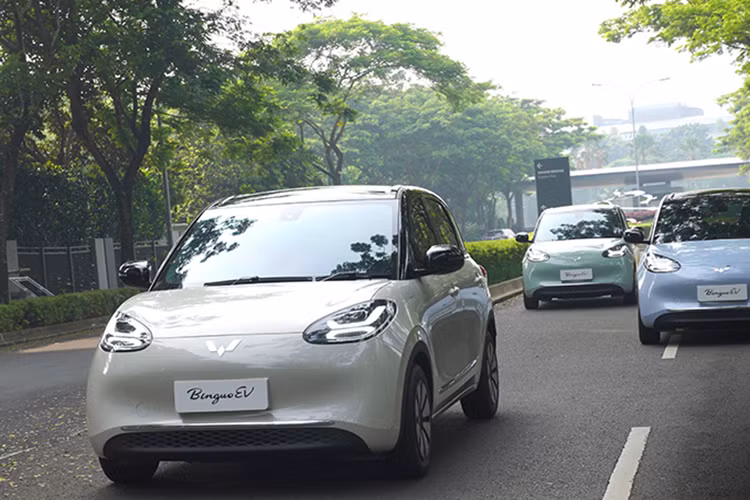 Trong khi đó, phiên bản Premium Range được trang bị pin LFP với dung lượng 37,9 kWh và hỗ trợ cả sạc chậm AC lẫn sạc nhanh DC. Với bộ sạc nhanh, thời gian tăng dung lượng pin từ 30% lên 80% sẽ là 35 phút. Vận tốc tối đa của Bingo là 130 km/h.