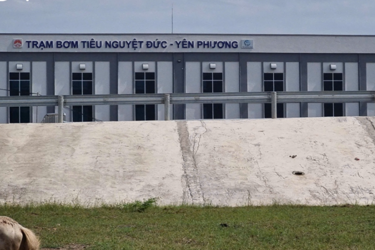 Dự án quản lý nguồn nước và ngập lụt Vĩnh Phúc do Ban QLDA sử dụng vốn vay nước ngoài (ODA) tỉnh Vĩnh Phúc làm chủ đầu tư, được thực hiện trên địa bàn 7 địa phương của Vĩnh Phúc gồm các huyện Tam Đảo, Tam Dương, Vĩnh Tường, Yên Lạc, Bình Xuyên, TP Phúc Yên, và TP Vĩnh Yên.