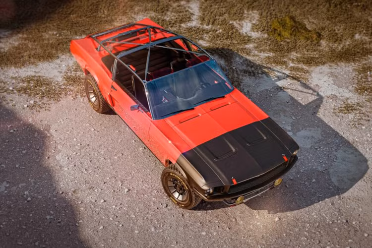 BorromeodeSilva cho biết hiện thương hiệu đã sẵn sàng sản xuất mẫu xe đầu tiên và sẽ được dành riêng cho bộ sưu tập riêng của mình.