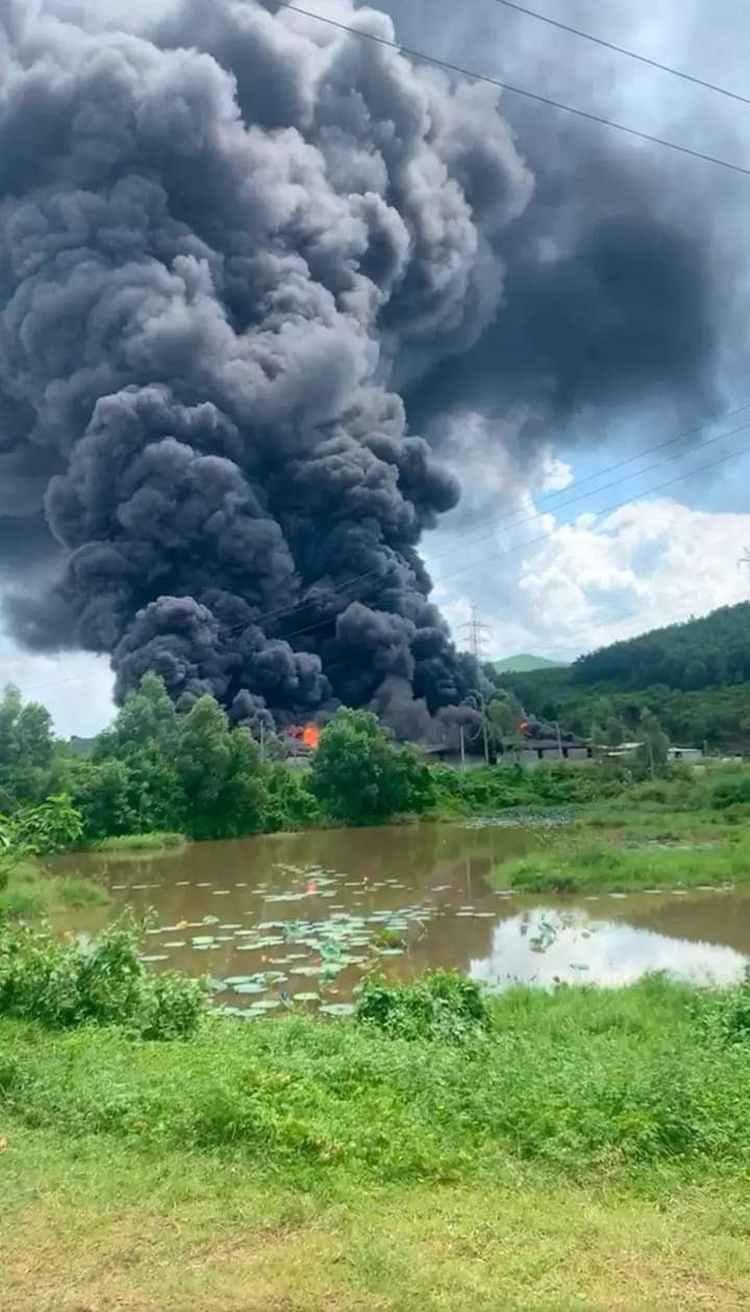 Chay lon tai xuong san xuat bao bi gan 2000 m2 o Quang Nam-Hinh-2