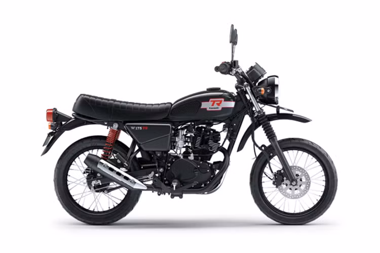 Tại Indonesia, Kawasaki W175TR sẽ có giá 34.300.000 rupiah (~54 triệu VNĐ), bản SE sẽ có giá 35.100.000 rupiah (~55 triệu VNĐ) và W175 CAFE sẽ có giá 36.400.000 rupiah (~57 triệu VNĐ).