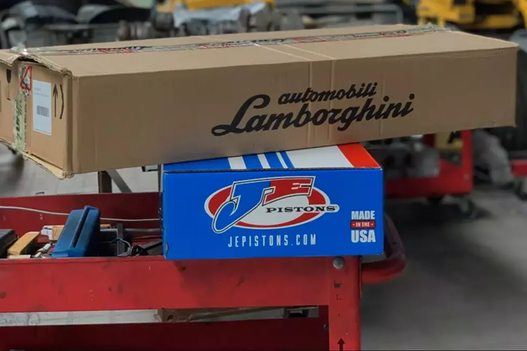 Ngoài các bản tiêu chuẩn, các đại gia Việt cũng sở hữu cho riêng mình vài xe khác như Lamborghini Gallardo mui trần bản nâng cấp, Lamborghini Gallardo SE chỉ có 250 chiếc trên thế giới và cả Lamborghini Gallardo LP570-4 Superleggera Coupe cũng như bản mui trần.