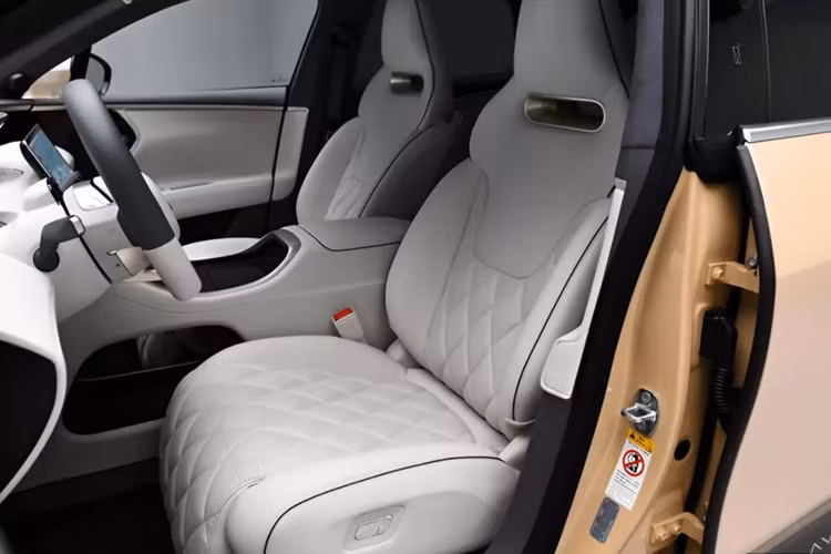 Các chi tiết trang trí bằng vàng cũng được tích hợp để phù hợp với màu sơn vàng huỳnh quang mới. Màn hình điều khiển trung tâm 15,6 inch hỗ trợ chức năng chia đôi màn hình và hiển thị dẫn đường, trò chơi, video. Nó cho phép chuyển các cửa sổ sang màn hình phi công phụ và nhận dạng lệnh thoại.