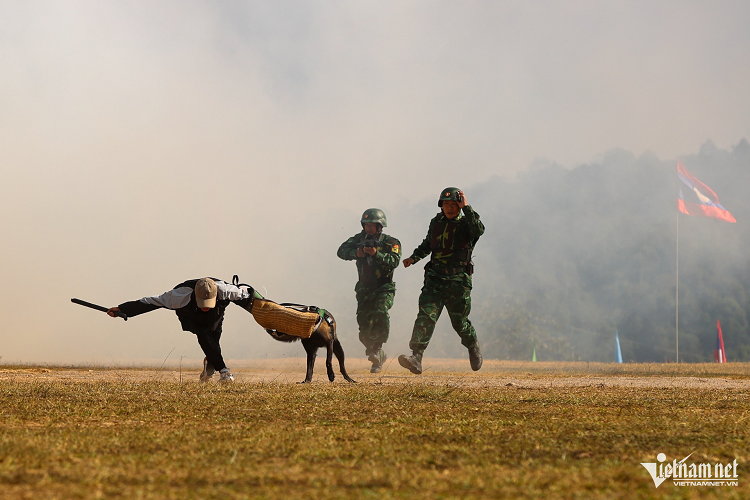 Tình huống đánh bắt tội phạm. 