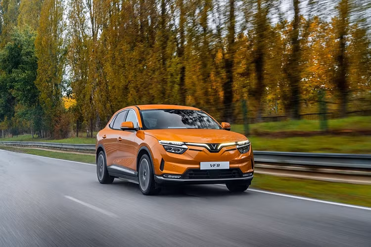 VinFast dat doanh thu gan 30.000 ty dong trong nam 2023-Hinh-3