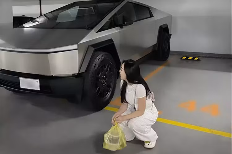 Đứng cạnh chiếc xe Tesla Cybertruck 2024 mới này, cô gái chẳng khác gì người tí hon với gã khổng lồ. Cybertruck có kích thước tổng thể dài x rộng x cao lần lượt là 5885 x 2030 x 1905 mm.