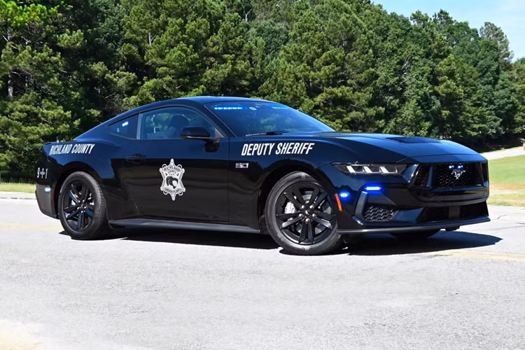 Tại Mỹ, giá xe Ford Mustang 2024 mới có mức bán dao động từ 30.920 USD đến 62.930 USD. Phiên bản Ford Mustang GT có giá từ 42.460 USD.