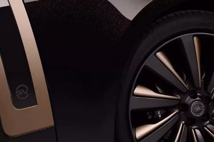 Mặt taplo được làm từ gỗ Wenge màu nâu cùng các phím bấm bọc chất liệu gốm sứ trắng. Bên cạnh đó là hàng loạt trang bị siêu sang như bàn gấp Club Table, hộc lạnh và ly champagne bằng pha lê khắc logo SV, đệm lưng có logo Ranthambore Edition...