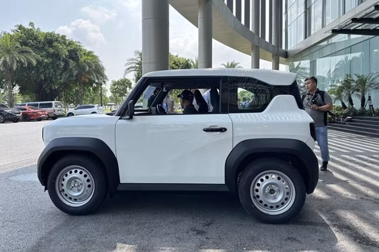 Cung cấp sức mạnh cho xe là động cơ điện có công suất 43 mã lực và mô-men xoắn 110 Nm. Xe có thể đạt tốc độ tối đa là 100 km/h khi pin trên 50%. Sạc một lần, xe có thể đi được khoảng 210 km theo chuẩn NEDC. Nếu sạc nhanh, xe chỉ mất 36 phút để đạt từ 10% lên 70%.