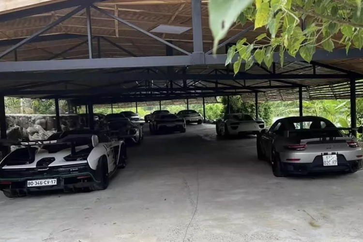 McLaren Senna và Porsche 918 Spyder đều là các xe hypercar sản xuất giới hạn trên toàn cầu, 2 xe này được nhập thẳng về Việt Nam, và đơn vị bán xe cho ông Đặng Lê Nguyên Vũ đã ra biển số Công vụ (CV) và Ngoại giao (NG), với lời hứa, sẽ sớm đóng đủ thuế, ra biển trắng cho "Qua" Vũ.