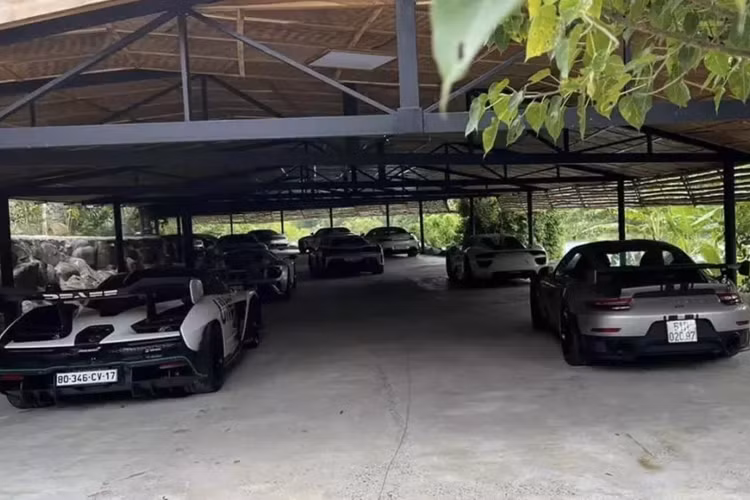 McLaren Senna và Porsche 918 Spyder đều là các xe hypercar sản xuất giới hạn trên toàn cầu, 2 xe này được nhập thẳng về Việt Nam, và đơn vị bán xe cho ông Đặng Lê Nguyên Vũ đã ra biển số Công vụ (CV) và Ngoại giao (NG), với lời hứa, sẽ sớm đóng đủ thuế, ra biển trắng cho "Qua" Vũ.