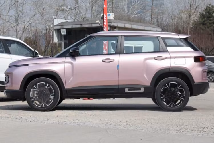 Tính đến tháng 4/2024, đã có 3083 chiếc của Geely Icon đã được bán, xếp thứ 22 trong danh mục SUV nhỏ gọn và thứ 10 về hiệu suất bán hàng tổng thể của Geely. Thiết kế tổng thể của Geely Icon Butterfly tiếp tục thiết kế của các mẫu hiện tại.