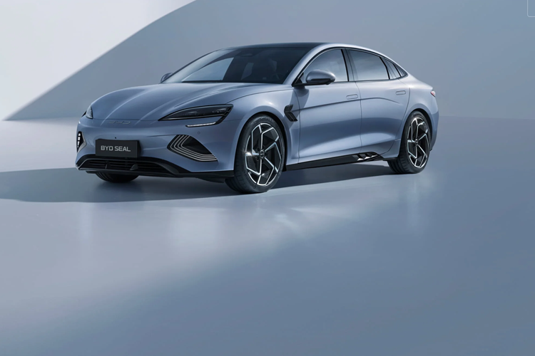 BYD Seal bản Dynamic RWD dùng 1 mô-tơ điện nằm trên cầu sau với công suất tối đa 204 mã lực và mô-men xoắn cực đại 310 Nm. Mô-tơ điện này đi với pin LFP 61,44 kWh, mang đến quãng đường di chuyển 510 km theo chu trình thử nghiệm NEDC. Xe có thể dùng sạc chậm AC hoặc sạc nhanh DC 110 kW.