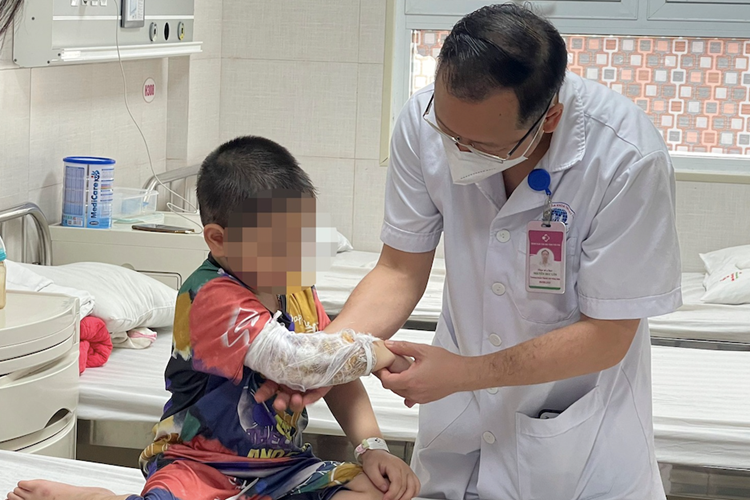 2 chó becgie cắn bé 3 tuổi vỡ thận 2 cho becgie can be 3 tuoi vo than