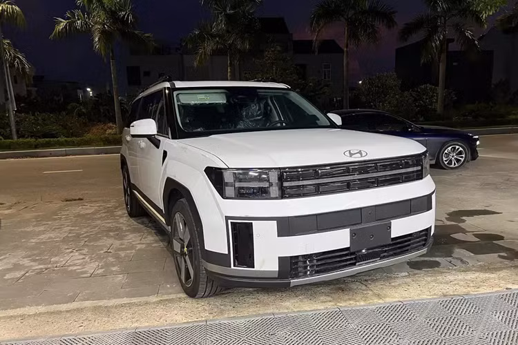 Giá bán Hyundai SantaFe 2025 dự kiến của 3 phiên bản này lần lượt là 1,189 tỷ, 1,289 tỷ và 1,368 tỷ đồng. Trong khi đó, phiên bản máy dầu và hybrid đã bị cắt bớt. Theo bảng thông số rò rỉ, mẫu SUV hạng trung này ở Việt Nam sẽ có 2 tùy chọn động cơ xăng.