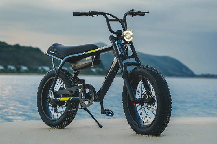 VF DrgnFly được tích hợp động cơ 250W vào bánh sau, hộp số đơn cấp cùng với cảm biến mô-men xoắn. Với bộ pin lithium-ion, xe có thể hoạt động liên tục 75 km ở chế độ thuần điện hoặc 110 km ở chế độ trợ lực cho mỗi lần sạc.