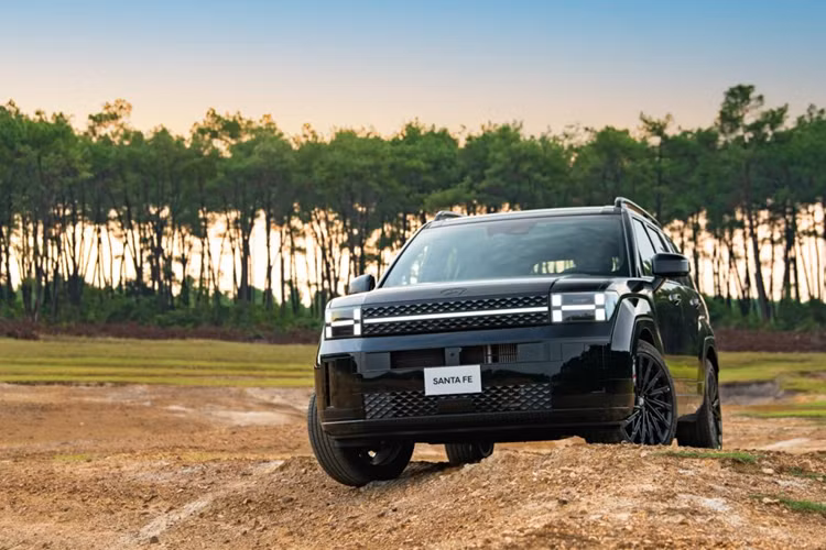 Hyundai Viet Nam bung no doanh so ban oto trong thang 11/2024-Hinh-2