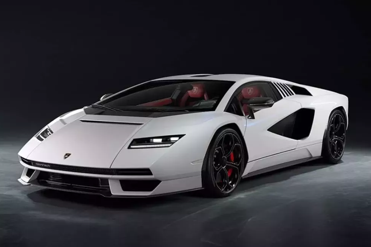 Ông Phạm Trần Nhật Minh hay còn gọi là đại gia Minh Nhựa là con trai độc nhất của đại gia ngành nhựa Long Thành, ông Phạm Văn Mười. Khác với các thiếu gia ngành nhựa khác, Minh Nhựa lại rất đam mê các siêu xe thương hiệu siêu bò và Lamborghini Countach LPI 800-4 triệu đô là một trong số đó.