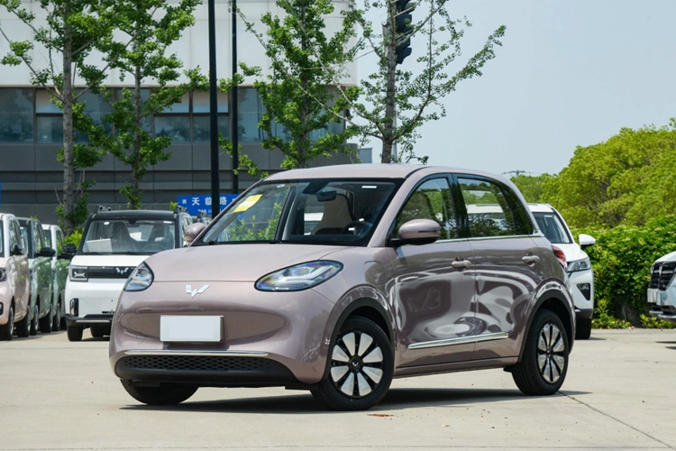 Theo dự đoán, Bingo ở Việt Nam sẽ có giá không quá rẻ, trên dưới 600 triệu đồng. Điều này, cộng với việc không có cơ sở hạ tầng trạm sạc công cộng, sẽ khiến tân binh của Wuling gặp không ít khó khăn tại Việt Nam.