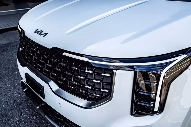 Tuy nhiên, phiên bản máy dầu của xe sẽ ra mắt trước. Phiên bản máy dầu của Kia Carnival 2025 vẫn dùng động cơ diesel Smartstream CRDi 4 xi-lanh, DOHC, dung tích 2.2L, cho công suất tối đa 199 mã lực và mô-men xoắn cực đại 441 Nm như cũ. Động cơ đi kèm với hộp số tự động 8 cấp và hệ dẫn động cầu trước.