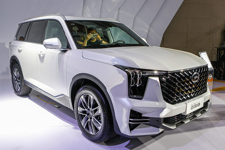 Với mức giá GAC GS8 khá đắt so với mặt bằng chung tại Việt Nam, theo các chuyên gia cho biết GS8 sẽ khó khăn trong việc tạo lợi thế cạnh tranh với các đối thủ trong phân khúc. Với thương hiệu mới của Trung Quốc nhưng lại xếp ngang ngửa với những ông lớn Nhật Hàn, nhà phân phối sẽ phải nỗ lực nhiều hơn nếu muốn thuyết phục khách hàng Việt.