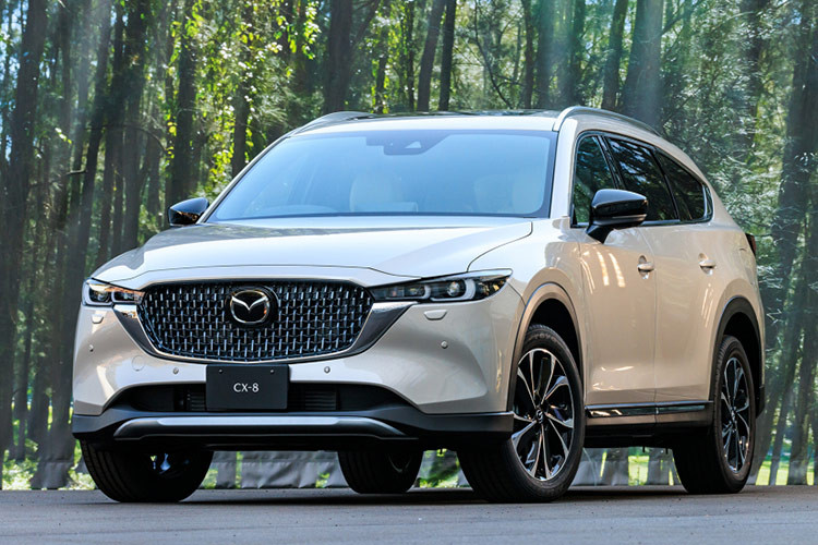 Sau khi ra mắt, Mazda CX-8 được kỳ vọng sẽ thêm phần cạnh tranh trước các đối thủ như Hyundai SantaFe và Kia Sorento. Trong đó, SantaFe 2024 là đối thủ đáng gờm nhất khi thế hệ mới ra mắt cách đây không lâu, thay đổi hoàn toàn từ thiết kế nội, ngoại thất tới động cơ, công nghệ.