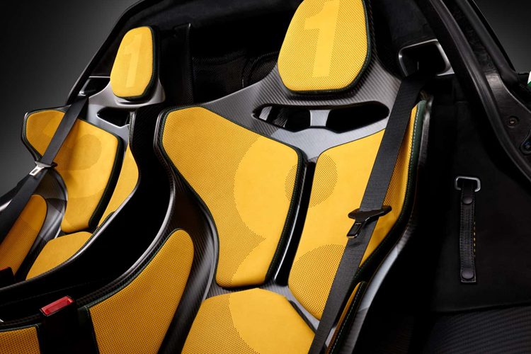 Hai bên thân xe là hai hình chân dung của tay đua Senna với các góc độ khác nhau. Ở bên thân trái, xe được trang bị chân dung Senna với ánh nhìn xa xăm còn ở bên phía hành khách lại là chân dung tay đua Senna đội mũ bảo hiểm.