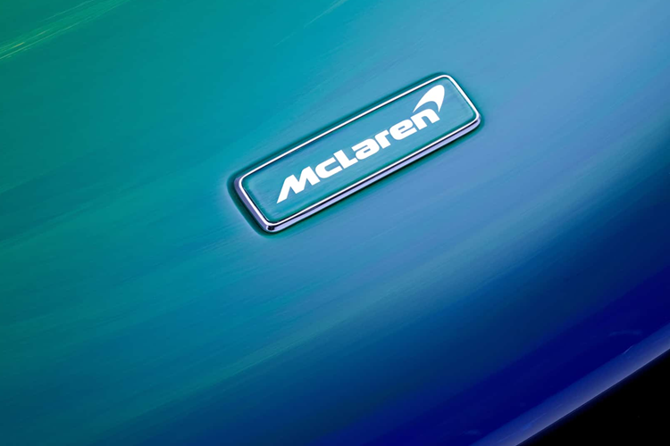 Những chiếc xe đua F1 của họ sẽ khoác lên mình màu sơn tưởng nhớ Senna với các màu xanh lam, vàng và xanh lá cây của lá cờ Brazil và đặc biệt hơn, thương hiệu đã cho ra mắt một chiếc McLaren Senna độc nhất vô nhị với gam màu đặc biệt, thậm chí trên thân xe còn có hình chân dung tay đua Ayrton Senna.