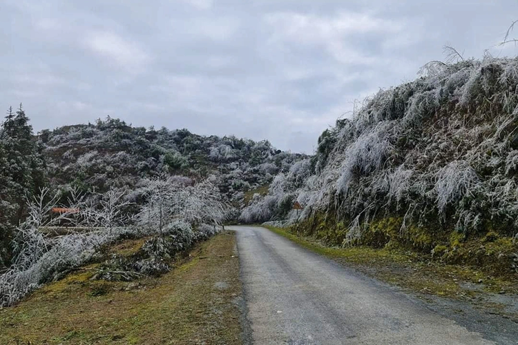 Băng giá phủ trắng tuyến đường nối 2 xã Xín Cái và Thượng Phùng (huyện Mèo Vạc).