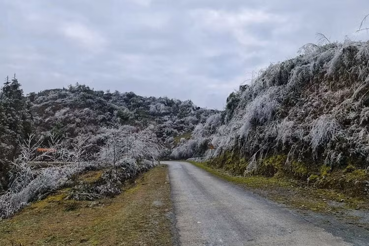 Băng giá phủ trắng tuyến đường nối 2 xã Xín Cái và Thượng Phùng (huyện Mèo Vạc).