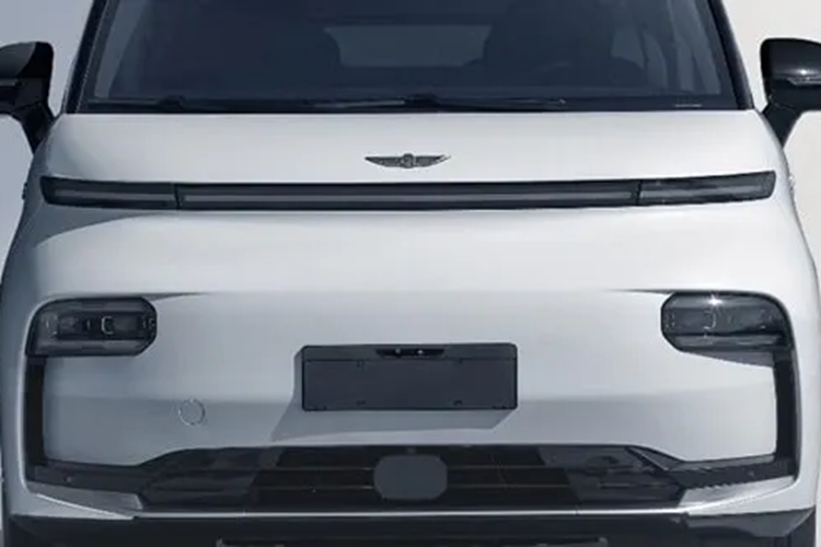 LEVC L380 là một mẫu xe tải nhỏ cỡ lớn dựa trên kiến trúc xe thương mại SOA bắt nguồn từ nền tảng SEA của Geely. Kích thước của nó là 316/1998/1940 mm, chiều dài cơ sở là 3185 mm. Bên trong, L380 có tới 8 chỗ ngồi với cách bố trí 2+2+2+2.