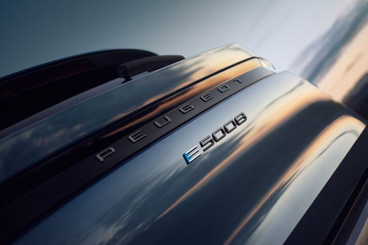 Nhờ được trang bị cụm pin dung lượng lớn hơn (98 kWh) mà bản này có tầm vận hành xa hơn hẳn bản tiêu chuẩn, lên tới 610km với một sạc. Phiên bản Electric 320 mạnh mẽ nhất có tổng công suất 316 mã lực. Xe cũng được trang bị cụm pin 98 kWh nhưng tầm vận hành chỉ đạt 500 km giống như bản tiêu chuẩn.