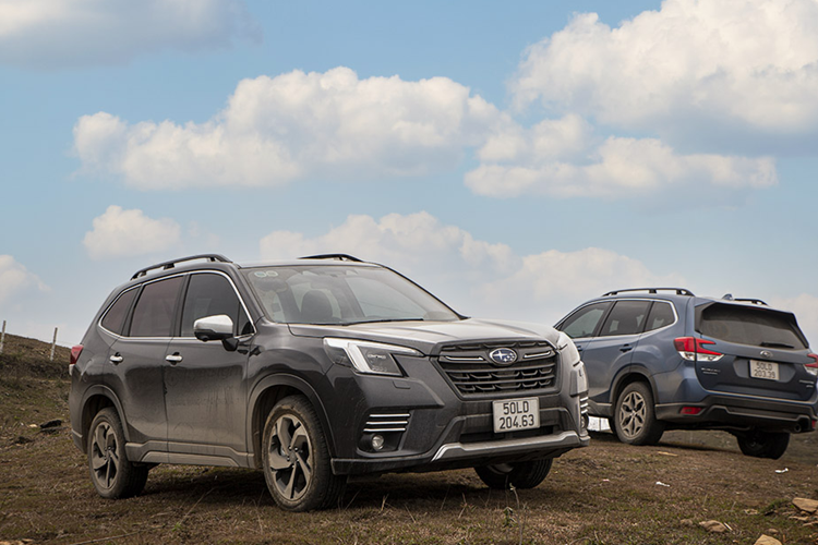 Subaru Forester Trong phân khúc xe SUV/CUV hạng C, Subaru Forester là mẫu xe có khoảng sáng gầm xe ấn tượng với 220 mm, đem đến cho Forester khả năng lội nước ở mức 500 mm mà vẫn duy trì được tốc độ ổn định, không hề làm chết máy hay nước tràn vào trong khoang hành khách.