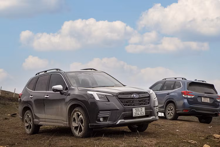  Subaru Forester Trong phân khúc xe SUV/CUV hạng C, Subaru Forester là mẫu xe có khoảng sáng gầm xe ấn tượng với 220 mm, đem đến cho Forester khả năng lội nước ở mức 500 mm mà vẫn duy trì được tốc độ ổn định, không hề làm chết máy hay nước tràn vào trong khoang hành khách.