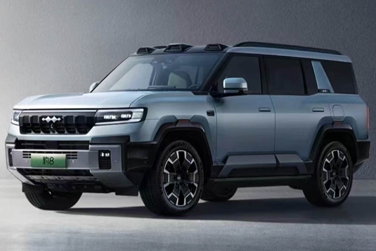 Tổng công suất của hệ truyền động là 929 mã lực, nhờ đó, xe có khả năng tăng tốc từ 0 lên 100km/h là 4,8 giây và tốc độ tối đa là 180 km/h. Bộ pin của Leopard 8 sử dụng công nghệ pin Blade LFP của công ty con FinDreams trực thuộc BYD, tuy nhiên dung lượng chính xác của bộ pin này hiện chưa được tiết lộ.