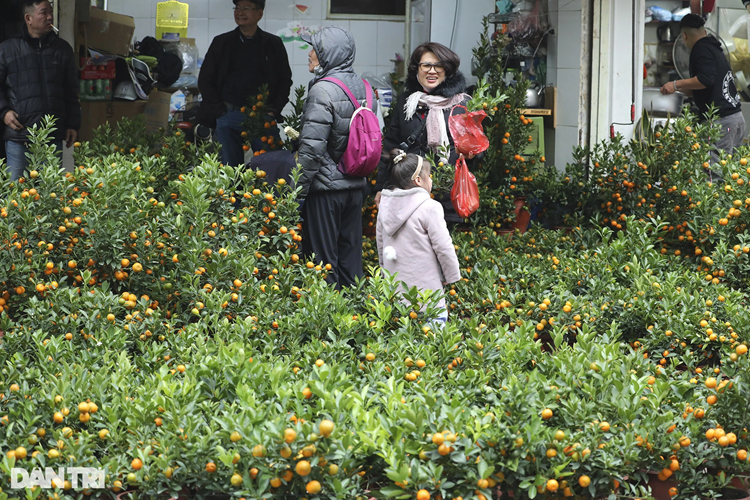 Ngoài hoa cây cảnh thật, các loại hoa giấy, hoa lụa, hoa nhựa cũng là mặt hàng bán rất chạy ngày Tết. Thủ phủ của mặt hàng này là khu phố Hàng Rươi nằm ngay cạnh phố Hàng Lược. 